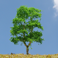 model trees